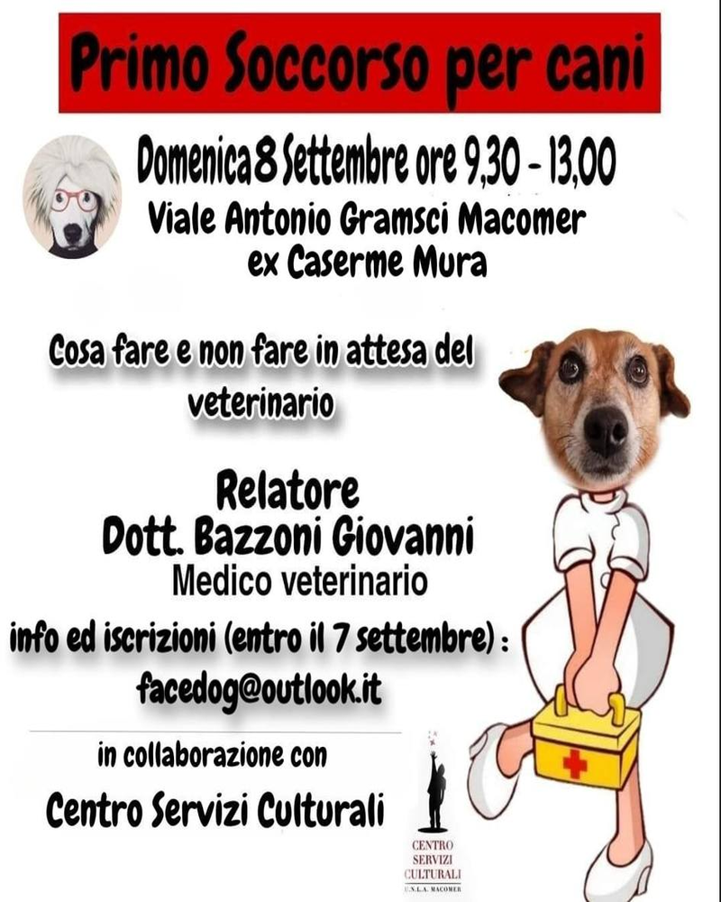 Primo soccorso per cani